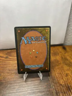 Koskun Falls Homelands Regular NM/LP - Image 2