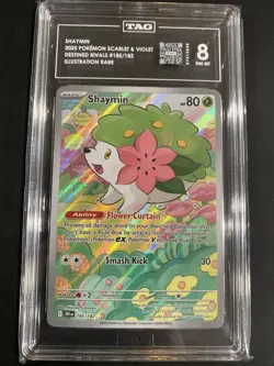 Shaymin Destined Rivals Illustration Rare 185 2025 Pokemon Holo Full Art TAG 8! - Image 1