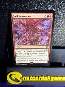 Soul Immolation Lorwyn Eclipsed Regular - Image 1