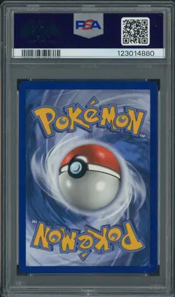 2019 POKEMON SM BLACK STAR PROMO #SM163 MIMIKYU-HOLO PROMO-TM.UP PSA 10 - Image 2
