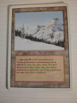 Taiga Revised Magic the Gathering - Image 1