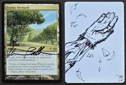 SKETCHED MtG Magic _Steve Belledin _ Conflux Artist Proof _ EXOTIC ORCHARD _1/50 - Image 1