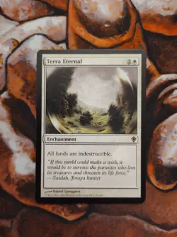 NM Terra Eternal Worldwake WWK MTG Magic the Gathering 1st Edition - Image 1