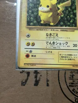 Ivy Pikachu No. 025 Glossy Promo Corocoro Comics Pokemon Japanese DMG US SELLER - Image 5