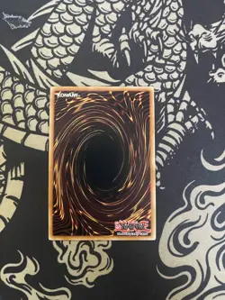 Dracotail Phryxul- DOOD-EN023 - Secret Rare - 1st Ed NM | Yugioh - Image 2