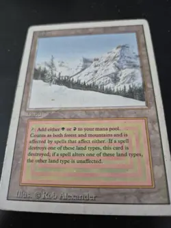 Taiga - Revised - MTG Magic The Gathering - Image 1