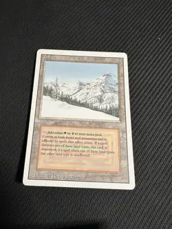 Taiga Magic The Gathering Revised Edition MTG 1994 (HP) - Image 1