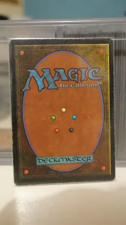 Taiga - Revised (3ED) 1994 - MTG Magic the Gathering - Rare DUAL LAND - Image 2