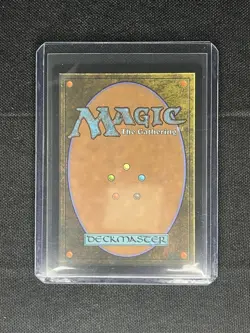 Snapcaster Mage (Borderless) Chocobo Track Foil - Final Fantasy MTG FIC 0469 NM - Image 2