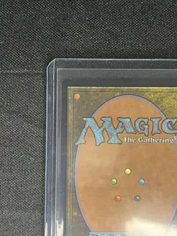 Snapcaster Mage (Borderless) Chocobo Track Foil - Final Fantasy MTG FIC 0469 NM - Image 3