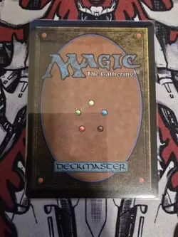 Snapcaster Mage Borderless Chocobo Track FOIL Final Fantasy Foil MTG Magic #0469 - Image 4