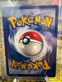 🔥 PINSIR Holo 9/64 Jungle Set 1999 - UNLIMITED - Sharp NM Copy! 🔥 - Image 2