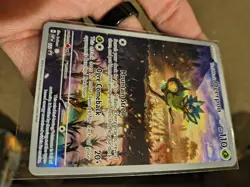 Pokemon TCG Teal Mask Ogerpon SVP 123 Black Star Promo Full Art Holo Card - Image 3