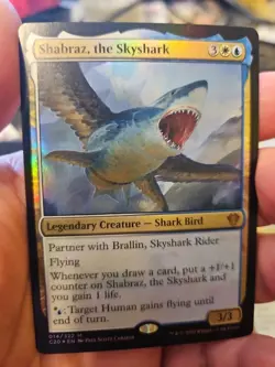 MTG - Commander 2020 - Shabraz, the Skyshark - NM - Foil - Image 1