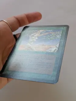 WOTC MTG Vintage Alpha Edition Shanodin Dryads (NM) CCG Magic the Gathering - Image 4