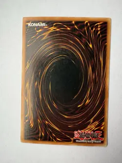 Yu-Gi-Oh Dark Paladin Secret Rare Limited Edition LP Card DMG-001 - Image 3