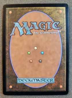 Sterling Grove x1 Invasion 1x Magic the Gathering MTG NM UN-Played (DS3D1PK).... - Image 2