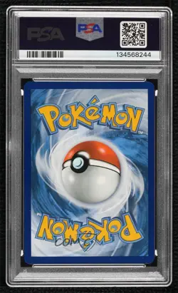 Pikachu (Paldea Adventure Chest) Holo Pokemon Scarlet & Violet Black Star Promo - Image 2