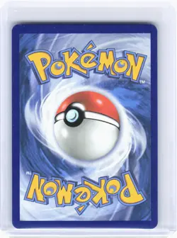 2025 Pokemon-Oricorio ex #024 Mega Evolution Promos-Black Star Promo Holo - Image 2