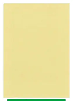 NM-EX Ludicolo - Pokemon Kids Sticker Seal 2004 BANDAI TCG Japanese #526 - Image 4