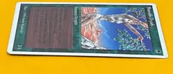 MTG SHANODIN DRYADS Summer Magic (Edgar) (OldManMTG 013-389) - Image 4