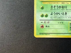 Pokemon TCG Japanese Jungle Victreebel Holo Rare No. 071 SWIRL 💫 - Image 3