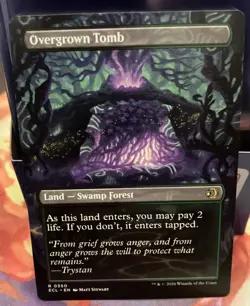 Overgrown Tomb (Borderless) Lorwyn Eclipsed Regular - Image 2