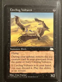 Circling Vultures Weatherlight Regular - Image 1