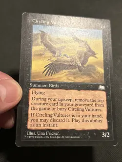 Circling Vultures Weatherlight Regular - Image 3