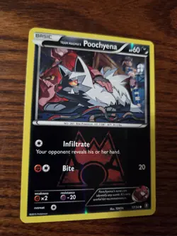 Team Magma's Poochyena 17/34 - Double Crisis - Pokemon TCG Reverse Holo - Image 3