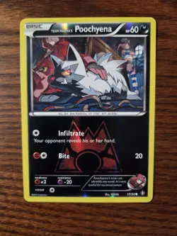 Team Magma's Poochyena 17/34 - Double Crisis - Pokemon TCG Reverse Holo - Image 5