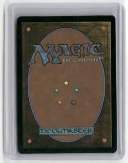 2025 MTG - Avatar: The Last Airbender: Wan Shi Tong, Librarian Mythic Regular - Image 2