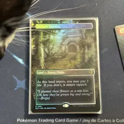 Temple Garden #0351 (Borderless Foil) Lorwyn Eclipsed - MTG - Image 1