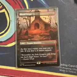 MTG Magic The Gathering Lorwyn Eclipsed Blood Crypt (Borderless) - MTG #349 - Image 1