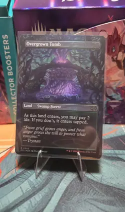 Overgrown Tomb (Borderless) Lorwyn Eclipsed Foil - Image 1