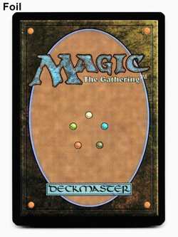 Hallowed Fountain (FOIL) - [Lorwyn Eclipsed] Magic MTG ECL 0265 - Shock Land ⚪💧 - Image 2