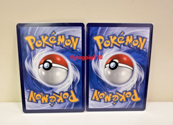 Pokemon TCG Exclusive Chinese Sword & Shield Radiant Eevee Venusaur K Holo Combo - Image 2