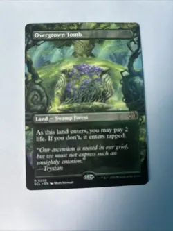 Overgrown Tomb (Borderless) Lorwyn Eclipsed Regular - Image 1