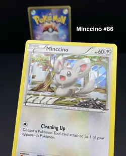 9x Pokemon Cards Cinccino Minccino Collection Lot - XY Holo Rare 1st Edition TCG - Image 5