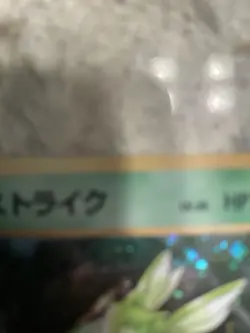 Pokemon Jungle - Scyther #123 HOLO Japanese Set - Image 3