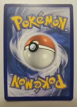 Squirtle 148/142 Stellar Crown Illustration Rare 2024 Pokemon TCG Card - Image 4