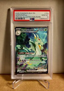 2025 POKEMON BLACK FLARE ENG SERPERIOR ex 164 /086 SIR PSA 10 GEM MINT 💎💎🐍 - Image 1