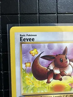 Eevee 51/64 First Edition Jungle Set Common Pokemon Card NM Near Mint - Image 5