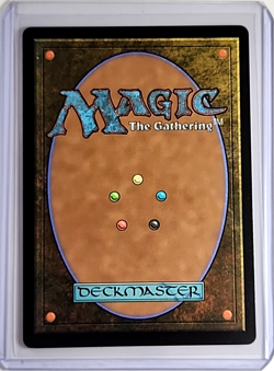 2024 MTG Magic the Gathering Secret Lair Drop Fallout Foil #1534 Fabled Passage - Image 2