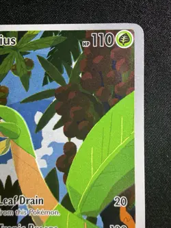 Pokemon TCG Tropius 195/193 Scarlet & Violet Paldea Evolved Illustration Rare - Image 2