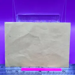 Milotic 330 Pokemon Kids Sticker Seal 2010 BANDAI Nintendo TCG Japanese #418a - Image 4