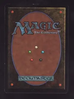 MTG The Dark Tormod's Crypt - Image 2