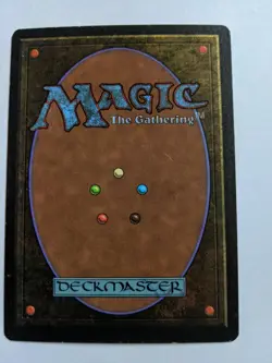 MTG "Tormod's Crypt"- The Dark Regular Uncommon, LP - Image 2