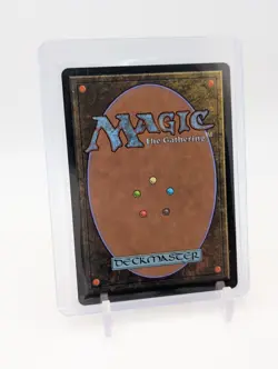 MTG - Abundant Countryside - Extended Art Rare #42 Commander: Lorwyn Eclipsed NM - Image 2