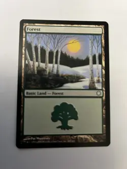 MTG Forest Coldsnap Theme Deck 382/383 Regular Land - Image 1